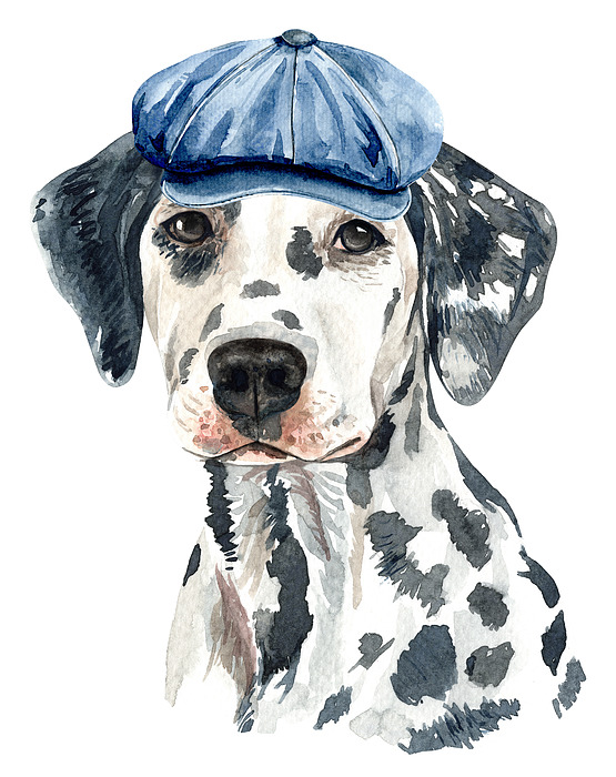 Lovely Dalmatian With Beret Watercolor by Cool Vintage Art Lovely Dalmatian With Beret Watercolor by Cool Vintage Art